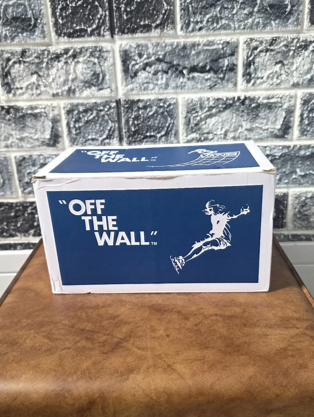 Limited Edition VANS OFF THE WALL SK8-Hi Shoes ICE Cube Maker Tray